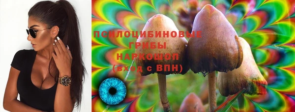 ECSTASY Няндома