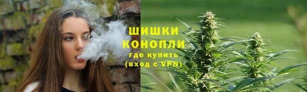 твердый Осташков