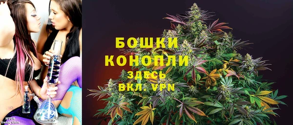 твердый Осташков