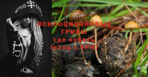ECSTASY Няндома