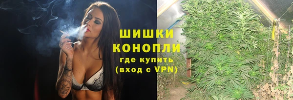 каннабис Новозыбков