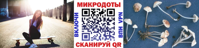наркошоп Малая Вишера блэк спрут ТОР Псилоцибиновые грибы мицелий